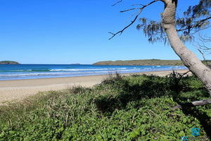 Coffs Harbour Sapphire Beach Mid North Coast NSW