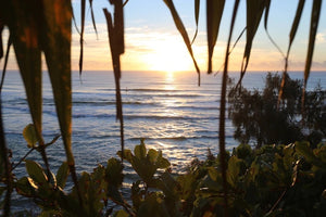 Coolum Beach, a popular holiday spot immersed in natural beauty