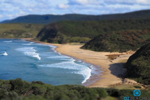 The Royal National Park, where unspoilt beaches and rainforests collide