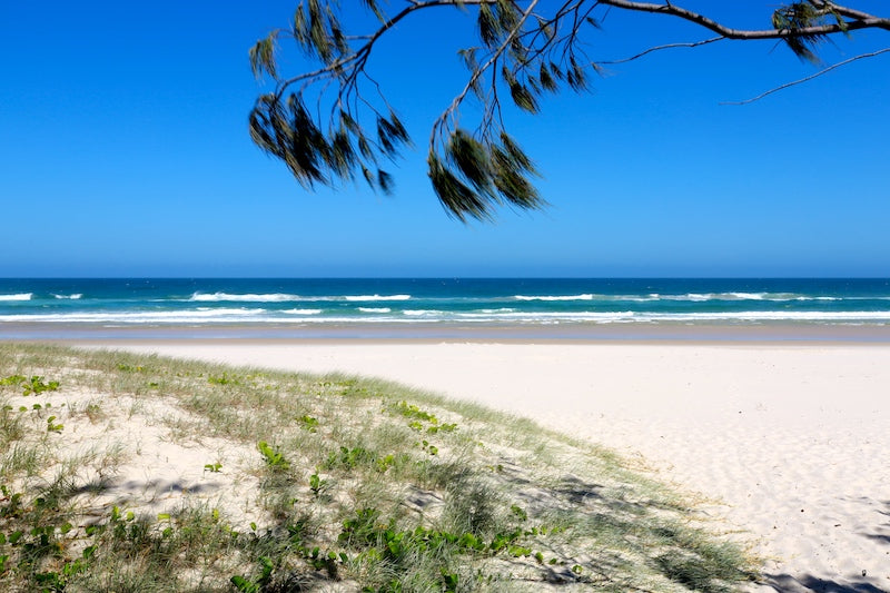 Salt Beach, Casuarina - where luxury and nature meet by the ocean