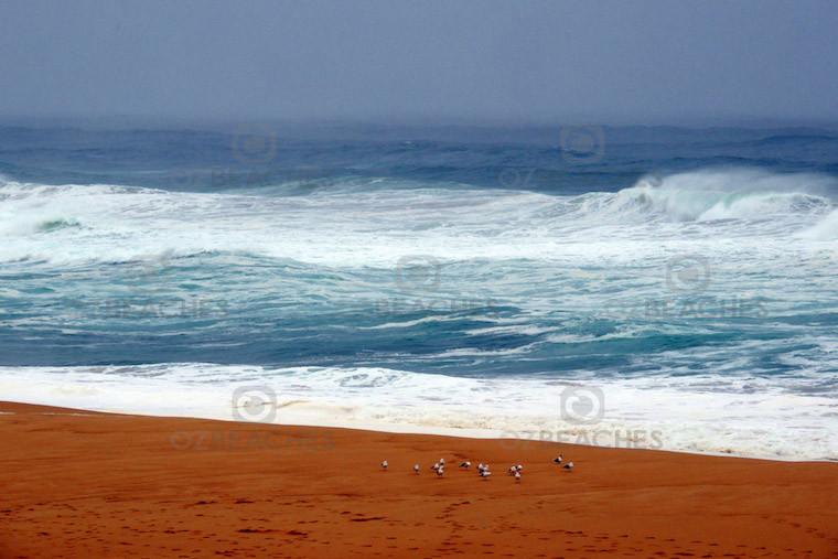 Artistic image gallery - OZBEACHES