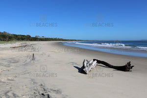 Photograph of driftwood on the beach at Shark Bay, Illuka NSW