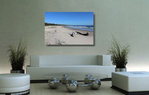 An acrylic print of Shark Bay at Illuka in NSW hanging in a lounge room setting