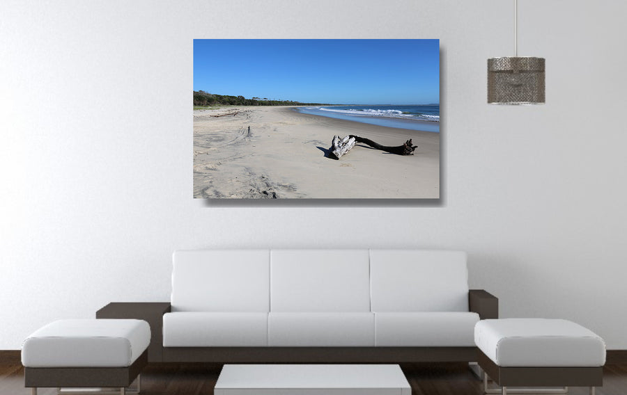 Photograph of driftwood on the beach at Shark Bay, Illuka NSW